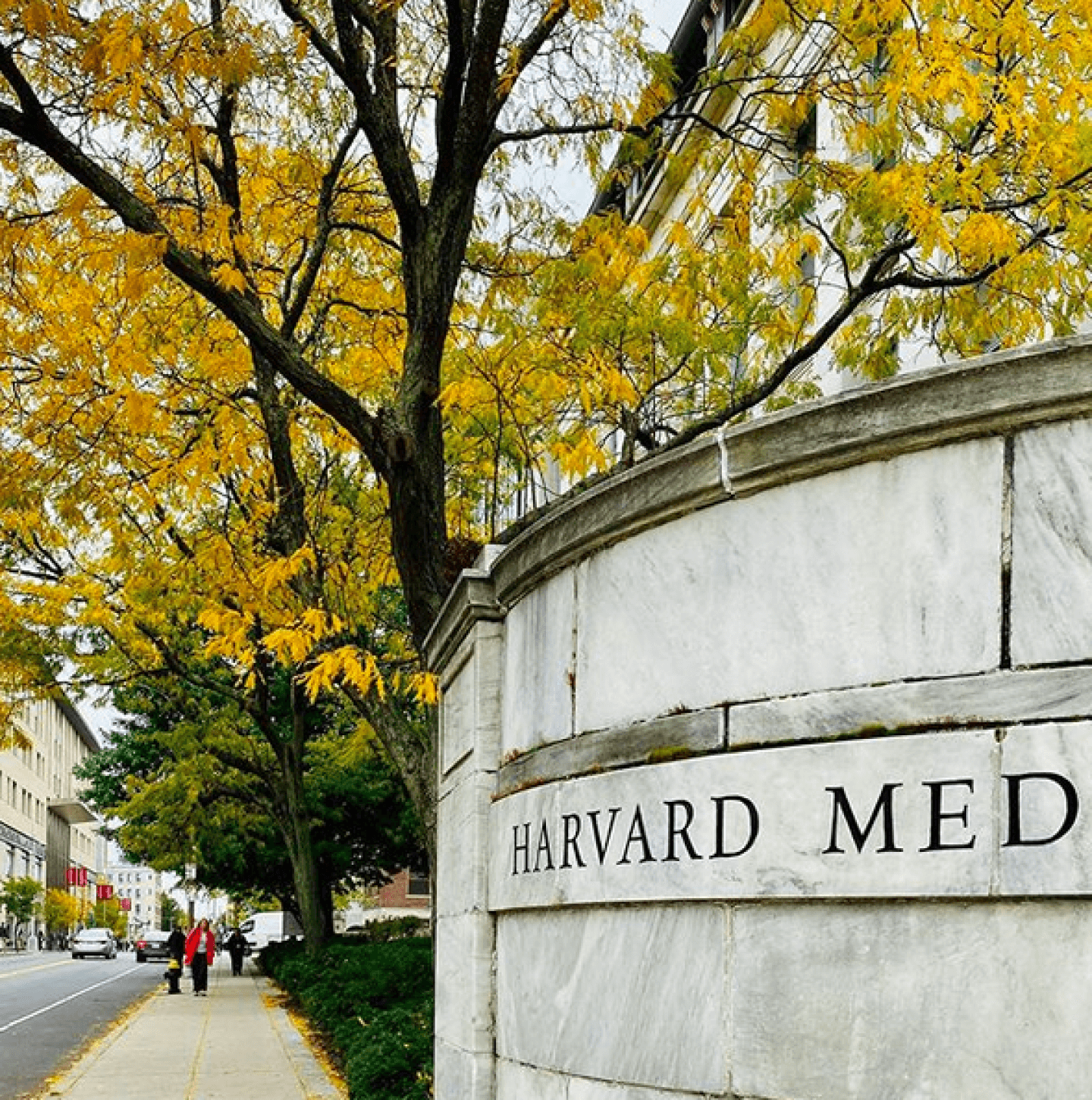 Harvard In Autumn | Harvard John A. Paulson School Of Engineering And ...